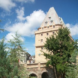 Meet your Posher, Rose